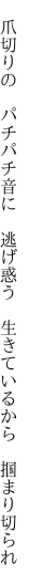 　爪切りの　パチパチ音に　逃げ惑う 　生きているから　掴まり切られ