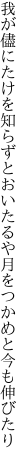 我が儘にたけを知らずとおいたるや 月をつかめと今も伸びたり