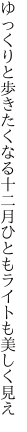 ゆっくりと歩きたくなる十二月 ひともライトも美しく見え