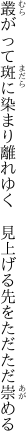 叢がって斑に染まり離れゆく 　見上げる先をただただ崇める