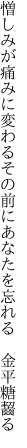 憎しみが痛みに変わるその前に あなたを忘れる　金平糖齧る