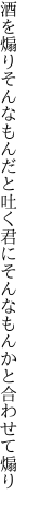 酒を煽りそんなもんだと吐く君に そんなもんかと合わせて煽り