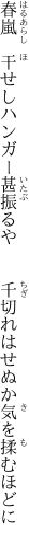 春嵐　干せしハンガー甚振るや 　　千切れはせぬか気を揉むほどに