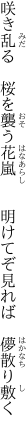 咲き乱る　桜を襲う花嵐 　　明けてぞ見れば　儚散り敷く