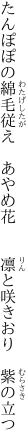 たんぽぽの綿毛従え　あやめ花 　　凛と咲きおり　紫の立つ