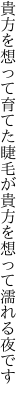 貴方を想って育てた睫毛が 貴方を想って濡れる夜です