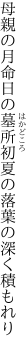 母親の月命日の墓所 初夏の落葉の深く積もれり