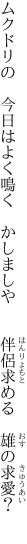 ムクドリの　今日はよく鳴く　かしましや 　　伴侶求める　雄の求愛？　