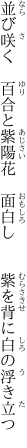 並び咲く　百合と紫陽花　面白し 　　紫を背に白の浮き立つ