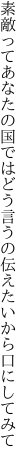 素敵ってあなたの国ではどう言うの 伝えたいから口にしてみて