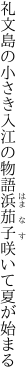 礼文島の小さき入江の物語 浜茄子咲いて夏が始まる