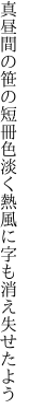 真昼間の笹の短冊色淡く 熱風に字も消え失せたよう