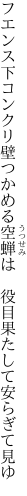 フエンス下コンクリ壁つかめる空蝉は　 役目果たして安らぎて見ゆ