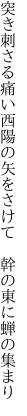 突き刺さる痛い西陽の矢をさけて　 幹の東に蝉の集まり