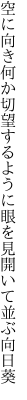 空に向き何か切望するように 眼を見開いて並ぶ向日葵