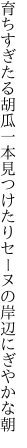 育ちすぎたる胡瓜一本見つけたり セーヌの岸辺にぎやかな朝