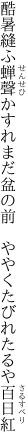 酷暑縫ふ蝉聲かすれまだ盆の前　 ややくたびれたるや百日紅