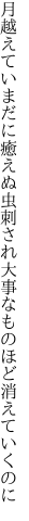 月越えていまだに癒えぬ虫刺され 大事なものほど消えていくのに