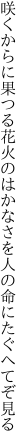 咲くからに果つる花火のはかなさを 人の命にたぐへてぞ見る