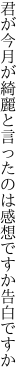 君が今月が綺麗と言ったのは 感想ですか告白ですか