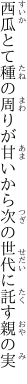 西瓜とて種の周りが甘いから 次の世代に託す親の実
