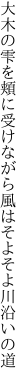 大木の雫を頬に受けながら 風はそよそよ川沿いの道