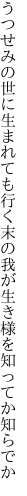 うつせみの世に生まれても行く末の 我が生き様を知ってか知らでか