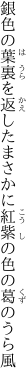 銀色の葉裏を返したまさかに 紅紫の色の葛のうら風