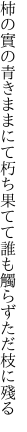 柿の實の青きままにて朽ち果てて 誰も觸らずただ枝に殘る