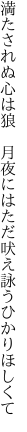 満たされぬ心は狼　月夜には ただ吠え詠うひかりほしくて