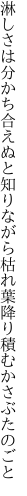 淋しさは分かち合えぬと知りながら 枯れ葉降り積むかさぶたのごと