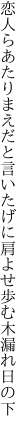 恋人らあたりまえだと言いたげに 肩よせ歩む木漏れ日の下