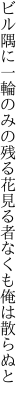 ビル隅に一輪のみの残る花 見る者なくも俺は散らぬと