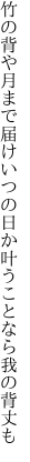 竹の背や月まで届けいつの日か 叶うことなら我の背丈も