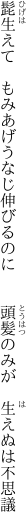 髭生えて　もみあげうなじ伸びるのに 　　頭髪のみが　生えぬは不思議