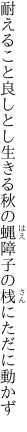 耐えること良しとし生きる秋の蝿 障子の桟にただに動かず