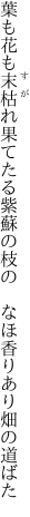 葉も花も末枯れ果てたる紫蘇の枝の  なほ香りあり畑の道ばた