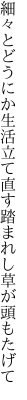 細々とどうにか生活立て直す 踏まれし草が頭もたげて