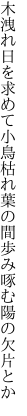 木洩れ日を求めて小鳥枯れ葉の間 歩み啄む陽の欠片とか