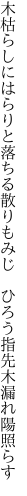 木枯らしにはらりと落ちる散りもみじ　 ひろう指先木漏れ陽照らす