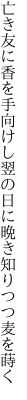 亡き友に香を手向けし翌の日に 晩き知りつつ麦を蒔く
