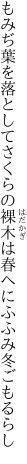 もみぢ葉を落としてさくらの裸木は 春へにふふみ冬ごもるらし