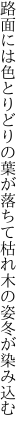 路面には色とりどりの葉が落ちて 枯れ木の姿冬が染み込む