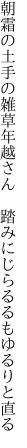 朝霜の土手の雑草年越さん　 踏みにじらるるもゆるりと直る