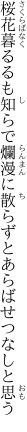 桜花暮るるも知らで爛漫に 散らずとあらばせつなしと思う