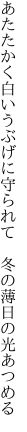 あたたかく白いうぶげに守られて　 冬の薄日の光あつめる