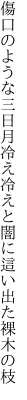 傷口のような三日月冷え冷えと 闇に這い出た裸木の枝