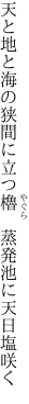 天と地と海の狭間に立つ櫓　 蒸発池に天日塩咲く