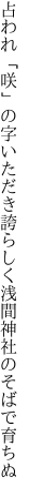 占われ「咲」の字いただき誇らしく 浅間神社のそばで育ちぬ