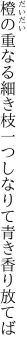 橙の重なる細き枝一つ しなりて青き香り放てば